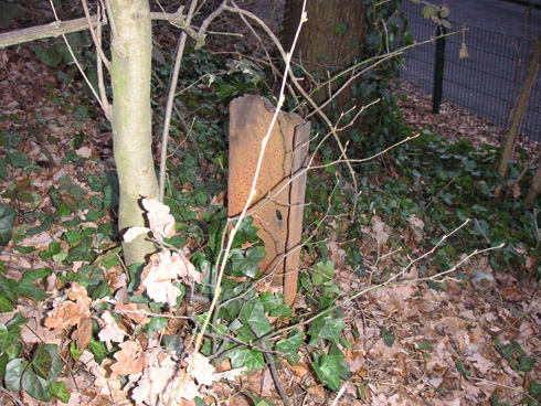 Letzte sichtbare Reste der Zeche Friederika im Jahre 2007