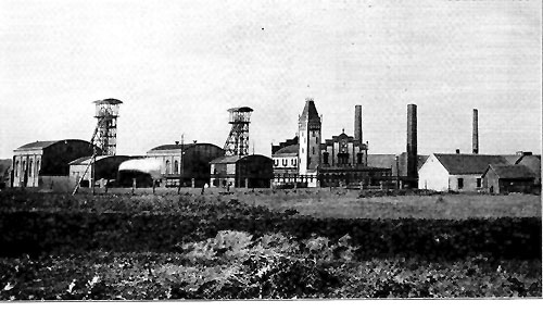 Friederica I um 1905