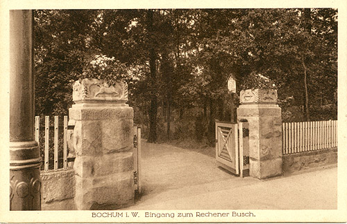Rechener Busch